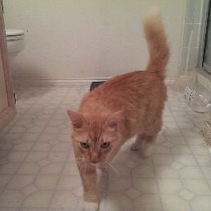 Meet your Posher, Rebecca